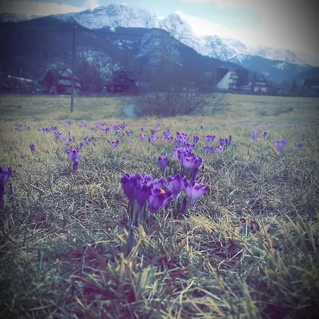 Jadzia Zakopane