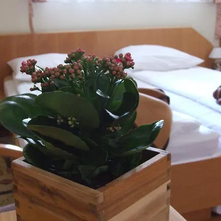 Jadzia Bed & Breakfast